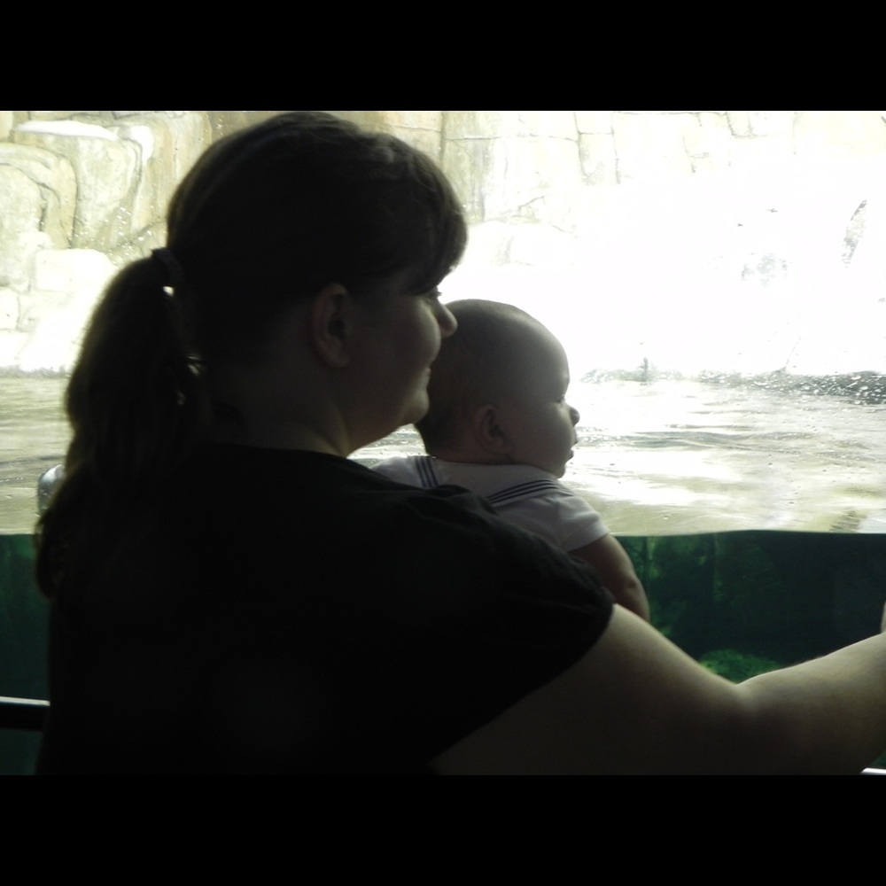 Meet your Posher, Katie